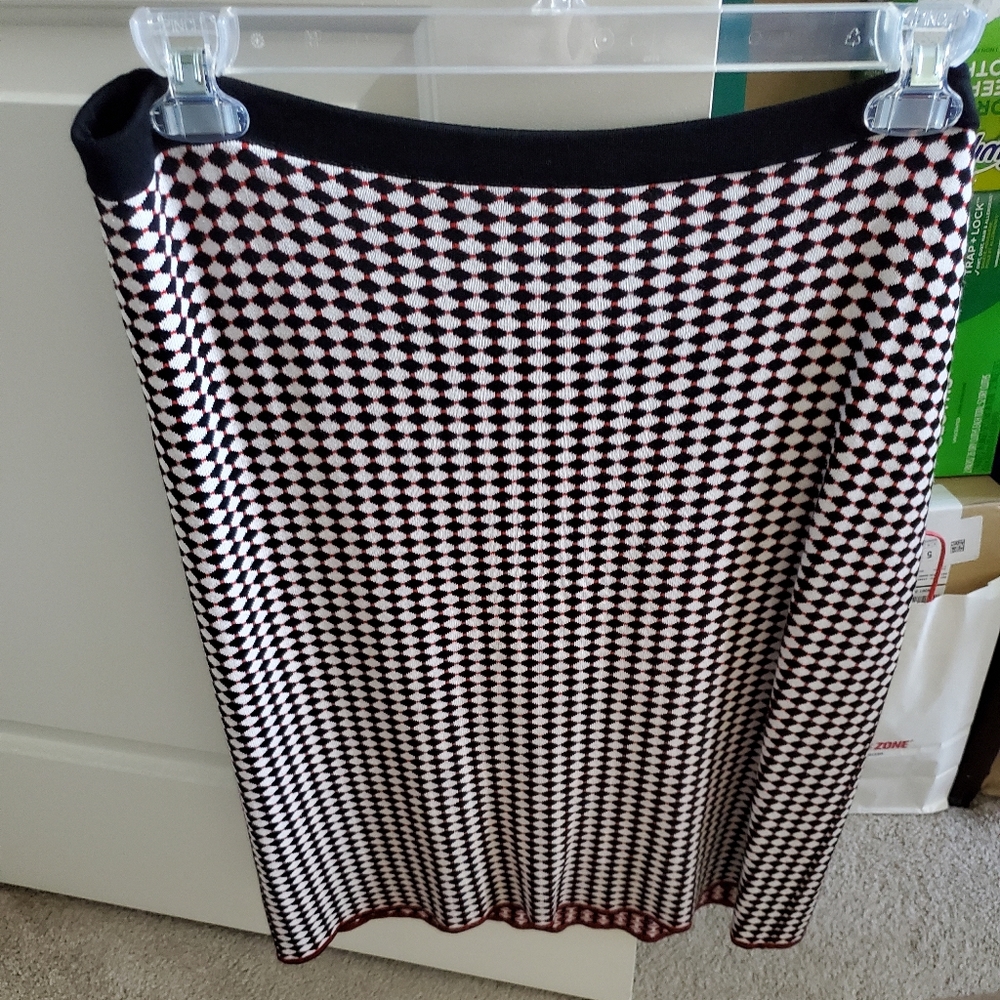 Ann Taylor Skirt